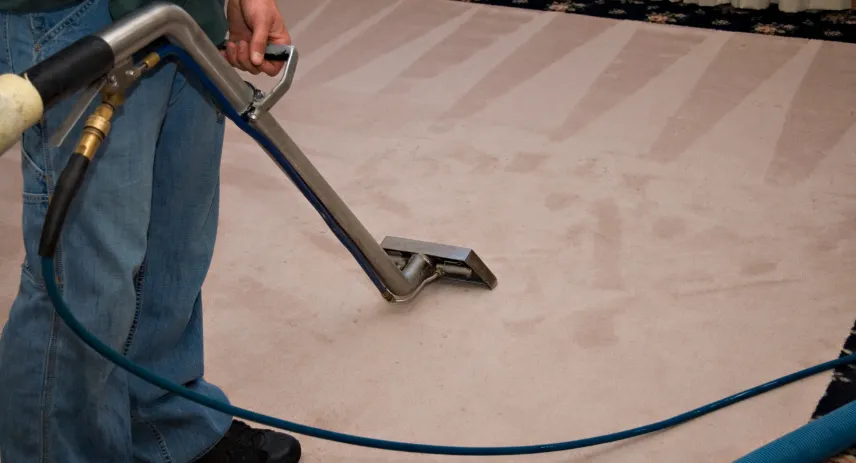 Best Non-toxic Carpet Cleaner for Home